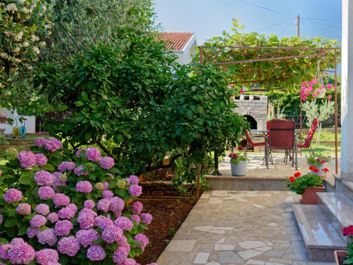 Apartments Marta By Rent Istria Novigrad Istria Dış mekan fotoğraf